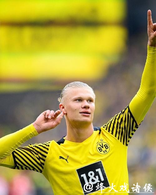 19岁锋线新星哈兰德加盟多特蒙德