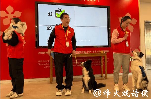 现实版“汪汪队立大功”！狗狗变身“疗愈师”，背后是一场14年的坚持